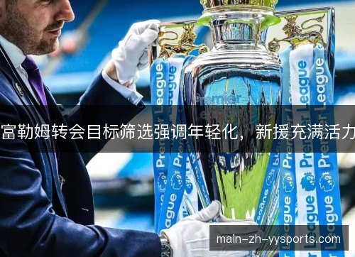 富勒姆转会目标筛选强调年轻化，新援充满活力